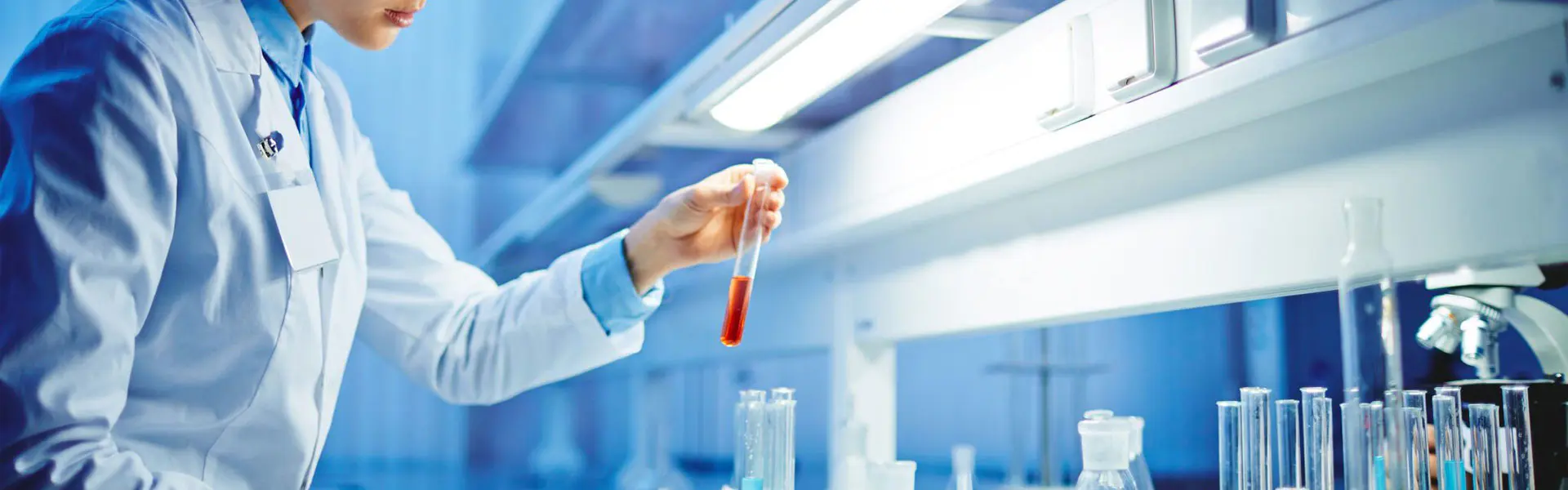 విచారణ పంపండి